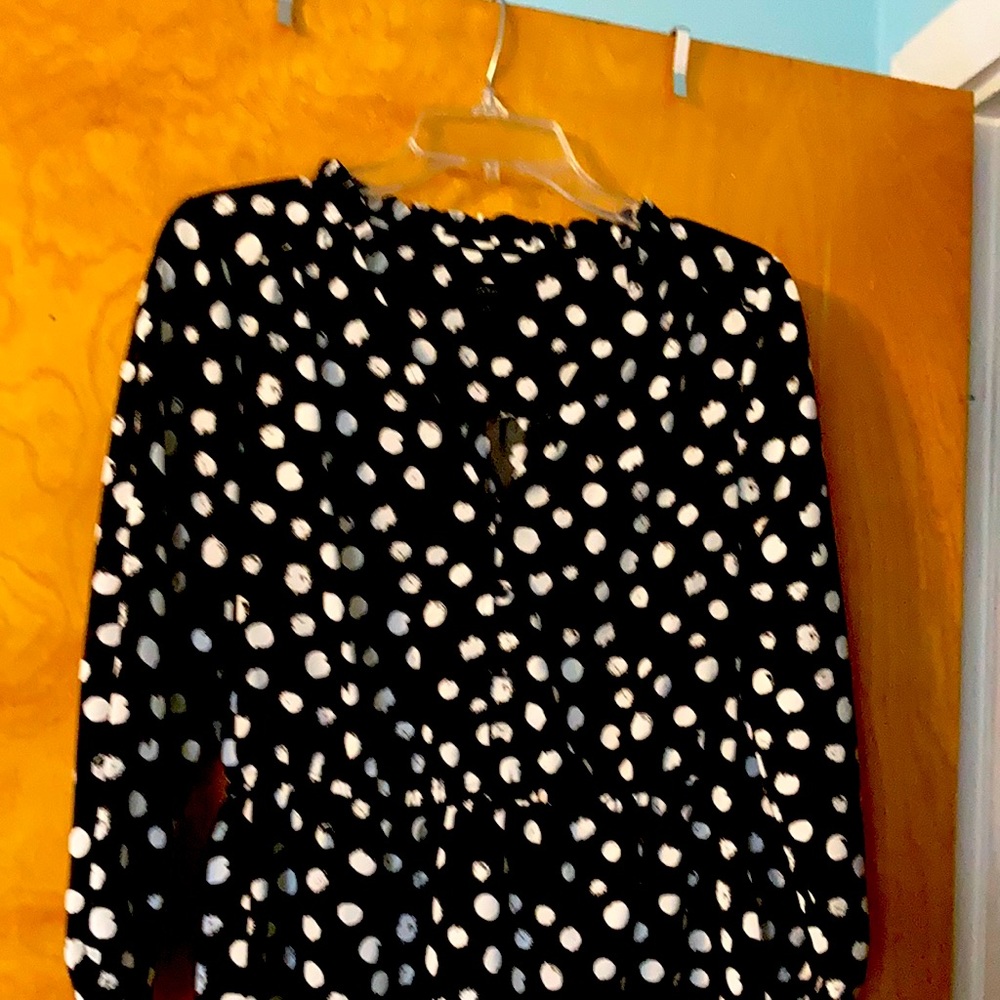 J Crew Long Sleeve Blouse
